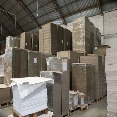 Produttori leader di cartoni duplex con rivestimento in PE