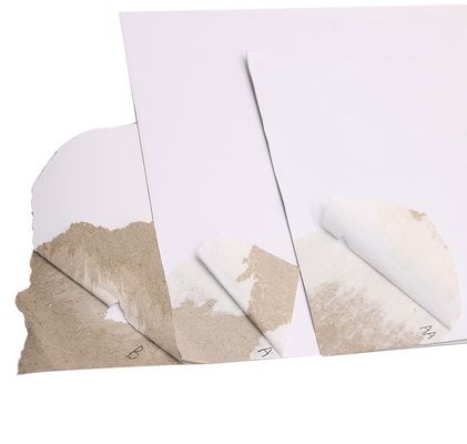 Stampa offset 200Gsm-450Gsm AA Grade Duplex Board Con retro grigio rivestito di kaolinite
