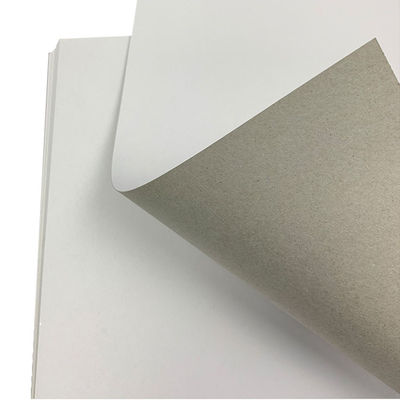 Cartucce di cartone bianco Rivestimento di sfondo grigio all'ingrosso 350 g C1s Bianco carta doppia