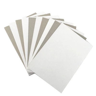 Cartoni Materiale grezzo Cartone duplex con fondo grigio Con fondo bianco Cartone di carta da stampa Duplex Con fondo grigio