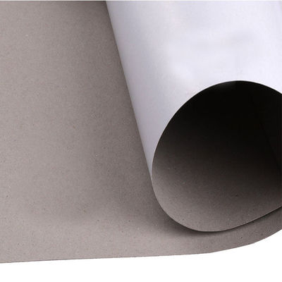 Cartoni Materiale grezzo Cartone duplex con fondo grigio Con fondo bianco Cartone di carta da stampa Duplex Con fondo grigio