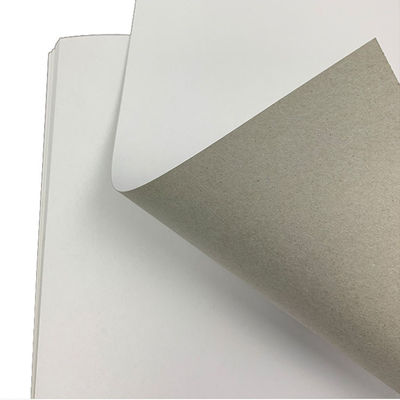 Cartone riciclato in stile polpa con retro grigio, con imballaggio in cartone grigio bianco.