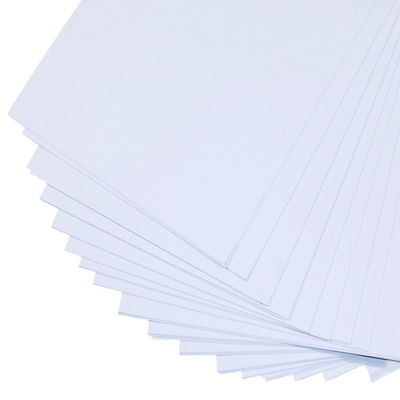 Carta FBB rivestita Carta bianca C1S SBS 250 gm 300 gm