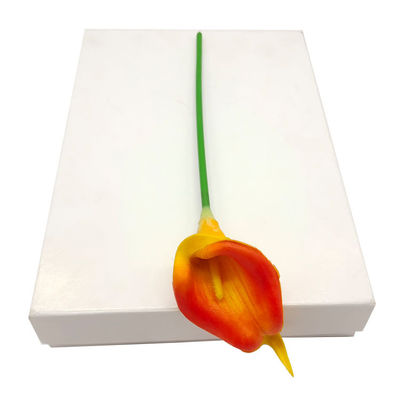 Carta rivestita laterale 250gm Prezzo Hi-Bulk Gc1 Fbb Carta bianco Cartone Avorio C1s