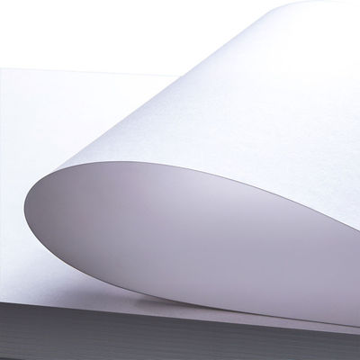FBB 350Gsm Carta bianca di cartone di avorio, C1S Folding Box Board PE Coated