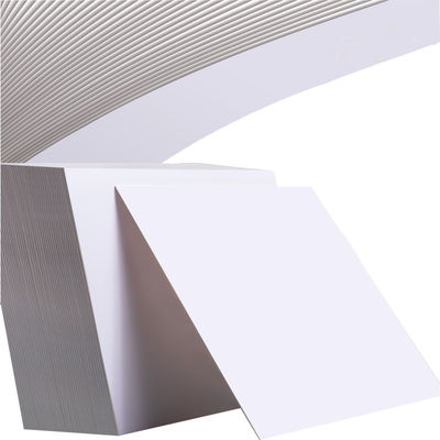 FBB 350Gsm Carta bianca di cartone di avorio, C1S Folding Box Board PE Coated