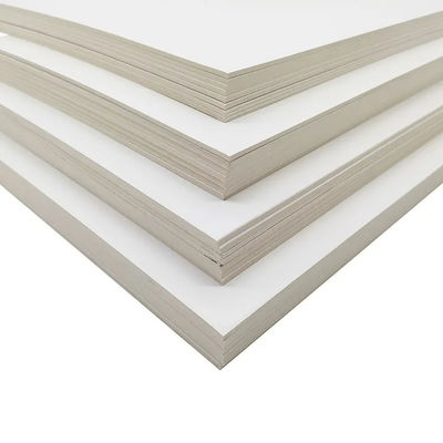 C2S Art Board/Art Card Paper 300 gsm per la stampa e per il confezionamento delle borse