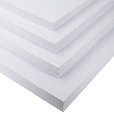 Carta di alta qualità FBB GC1 cartone C1S cartone avorio cartone bianco
