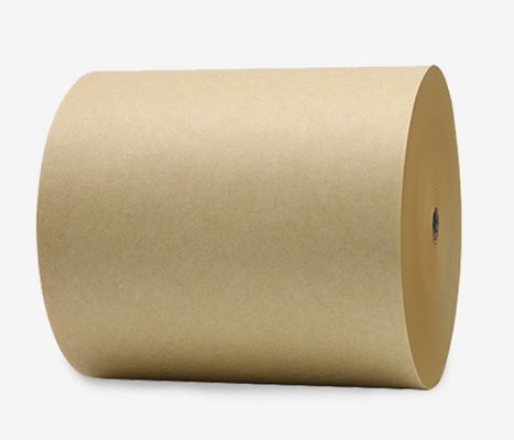 Carta di pasta di tronco C1S SBS FBB Carta d'avorio per imballaggio rivestita da un lato Carta carta carta carta roll carta artigianale PE impermeabile