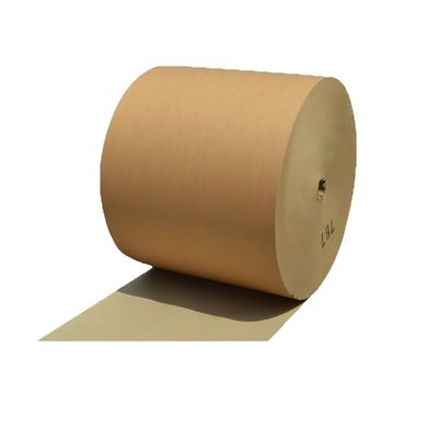 Carta Kraft Eco-Friendly Custom Single Double Wall Pe Coated Roll