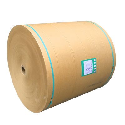 Carta Kraft Eco-Friendly Custom Single Double Wall Pe Coated Roll