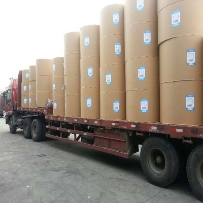 Carta Kraft Eco-Friendly Custom Single Double Wall Pe Coated Roll