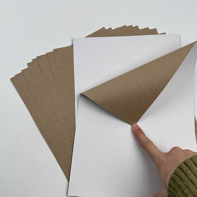 C1S Carta di cartone duplex rivestita con rivestimento a sfondo Kraft in foglio o rullo