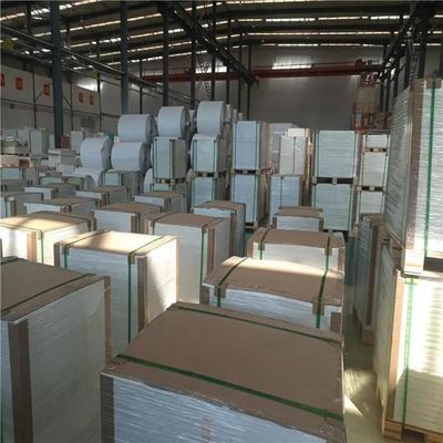 OEM 192gm 216gm Carta di stampa in pietra bianca per poster all'aperto