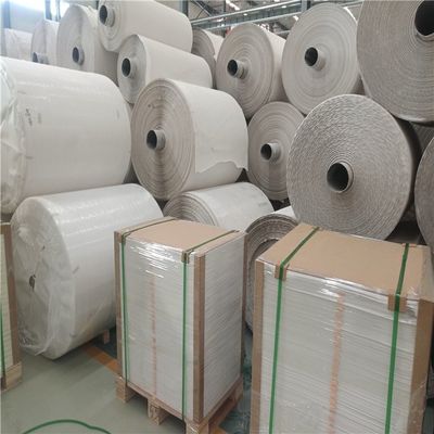 Carta di pietra riciclabile resistente all'acqua 100um 120um Carta per notebook